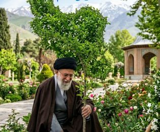 گزارش تصویری آیین روز درختکاری در شهر گرمسار